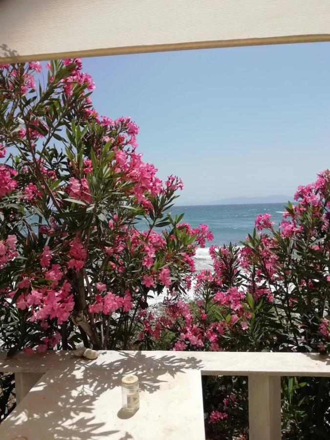 "Sea Front" Rose'S House Villa Kardhiani Bagian luar foto