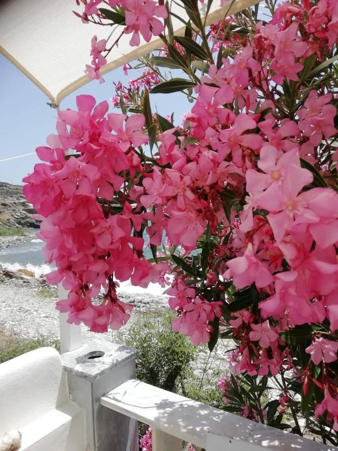 "Sea Front" Rose'S House Villa Kardhiani Bagian luar foto