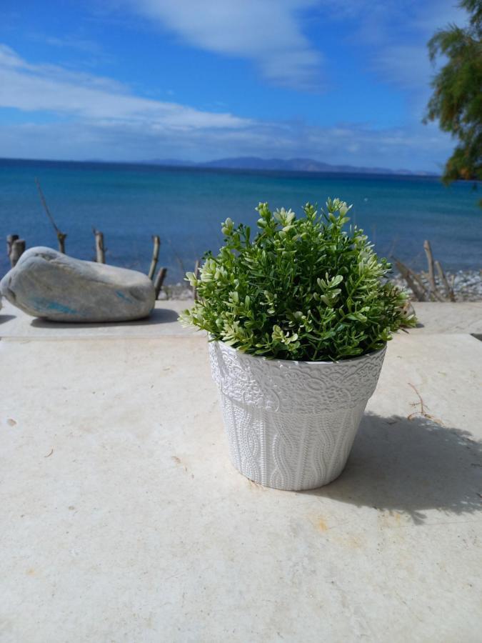 "Sea Front" Rose'S House Villa Kardhiani Bagian luar foto